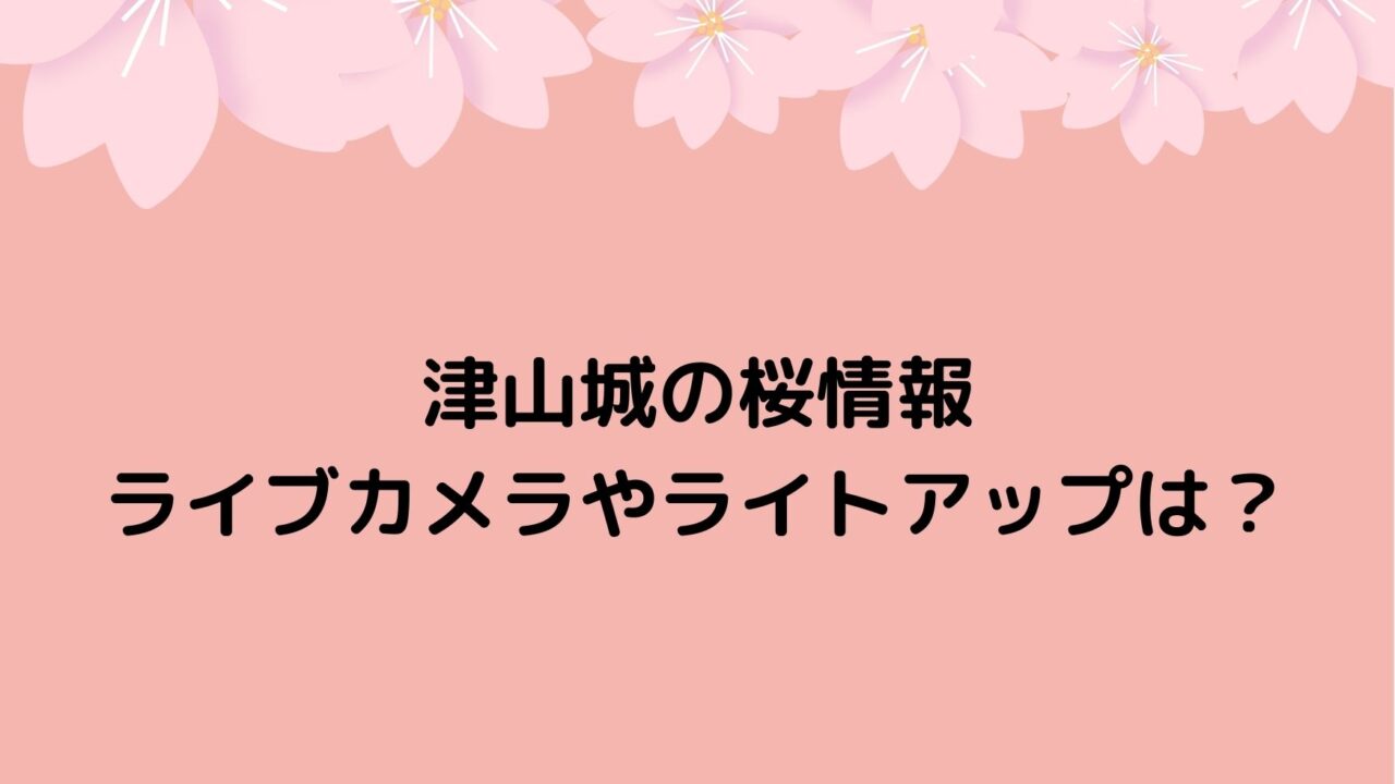津山城の桜情報